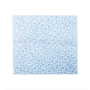 Салфетки для обезжиривания TOP.10