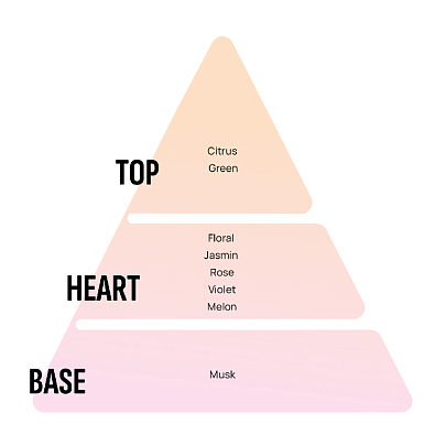 AREON ароматизатор воздуха Xperience подвесной Spring Bouquet