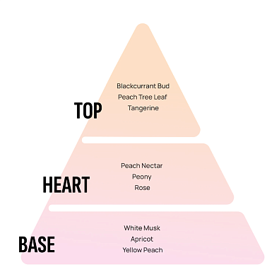 AREON ароматизатор воздуха Monbrane подвесной Peach 8мл
