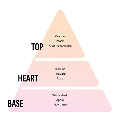 AREON ароматизатор воздуха X подвесной Tutti Frutti